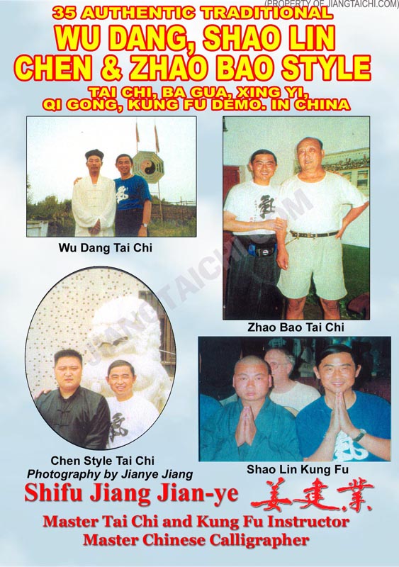 35 Authentic Traditional Wu Dang, Shaolin, Chen and Zhao Bao Demo in China
