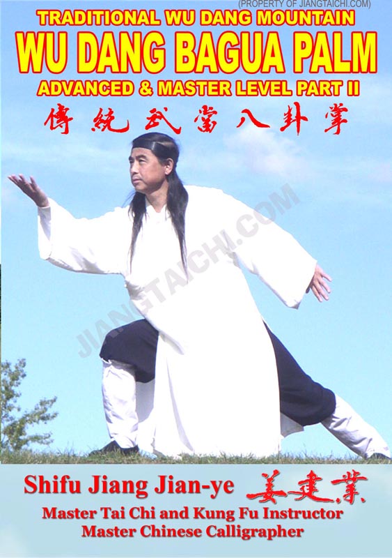 Wu Dang Bagua Palm - Advanced & Master - Part 2