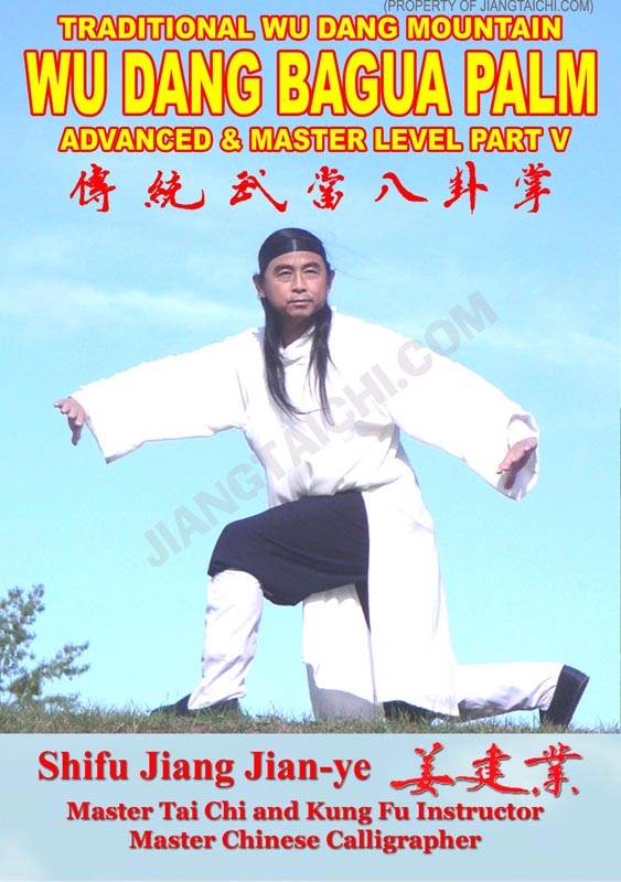 Wu Dang Bagua Palm - Advanced & Master - Part 5