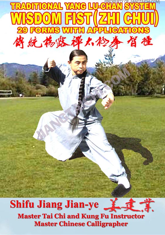 Yang Lu-Chan Wisdom Fist (Zhi Chui) - 29 Forms - Click Image to Close