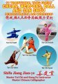 11 Traditional Yang Family - Chuan, Weapons, Ball and San Shou Demo/Workshop