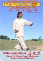 Stationary Tai Chi Chuan - Intermediate Level