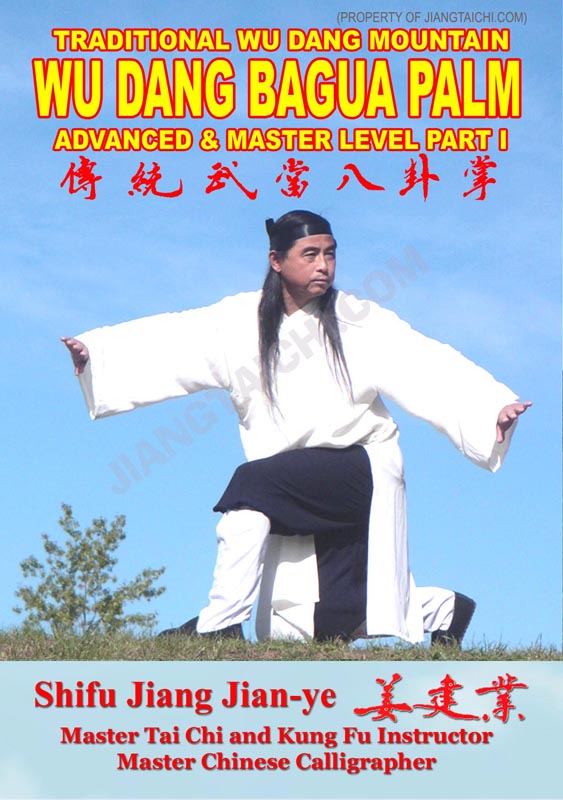 Wu Dang Bagua Palm - Advanced & Master - Part 1 - Click Image to Close