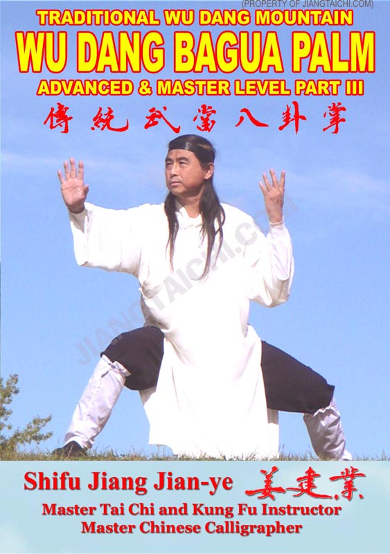 Wu Dang Bagua Palm - Advanced & Master - Part 3 - Click Image to Close