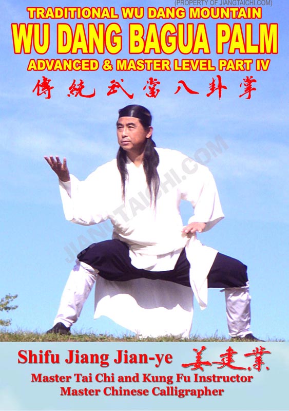 Wu Dang Bagua Palm - Advanced & Master - Part 4 - Click Image to Close