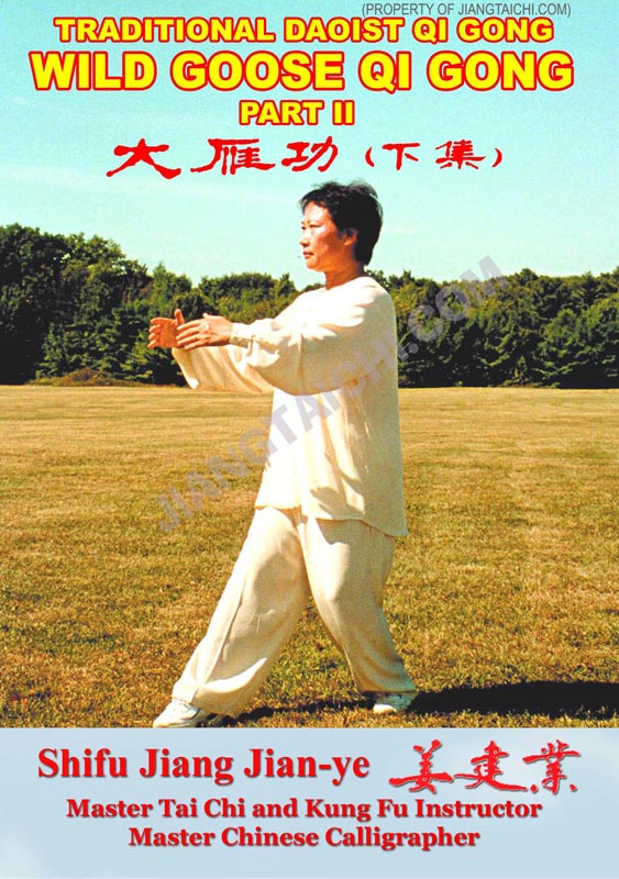 Wild Goose Qi Gong 2 - Click Image to Close