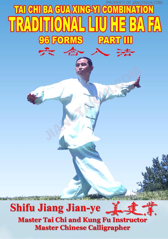 Tai Chi Ba Gua Liu He Ba Fa - 96 Forms - Part 3 - Click Image to Close