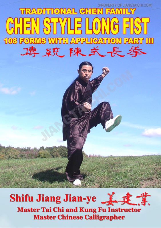 Chen Style Long Fist - 108 Forms - Part 3 - Click Image to Close